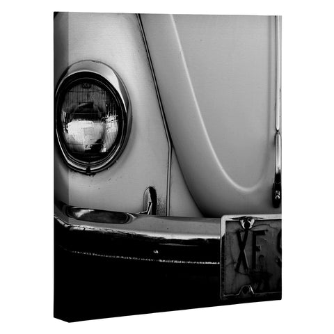 The Light Fantastic Beetle Art Canvas