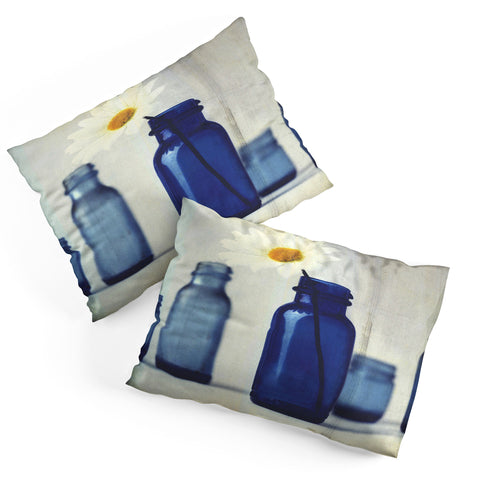 The Light Fantastic Dirty Window Pillow Shams