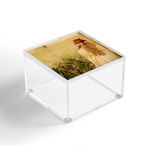 The Light Fantastic Fox Girl Acrylic Box