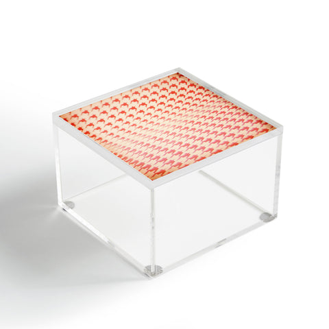 The Light Fantastic Houndstooth Polaroid Acrylic Box