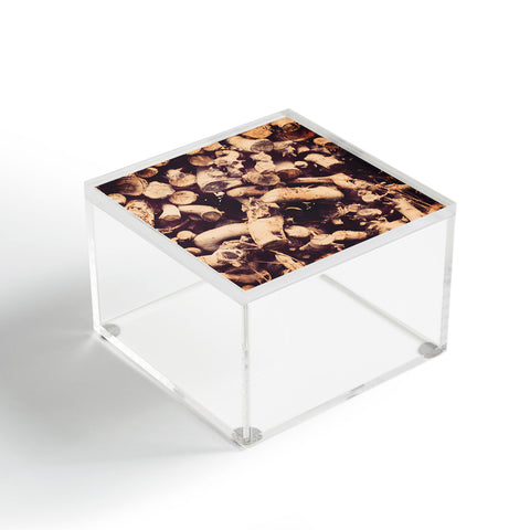 The Light Fantastic Kindling Acrylic Box