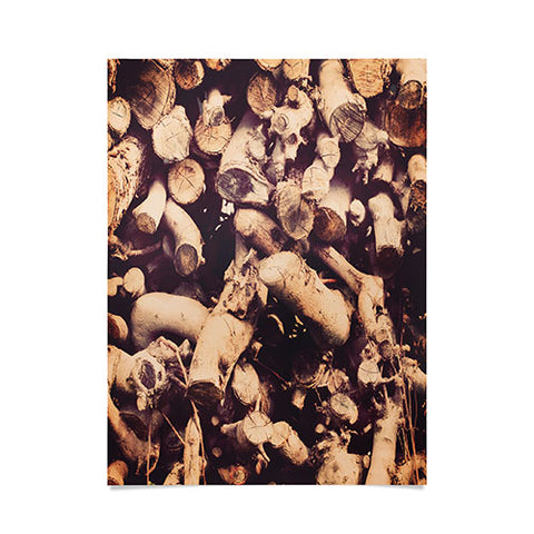 The Light Fantastic Kindling Poster