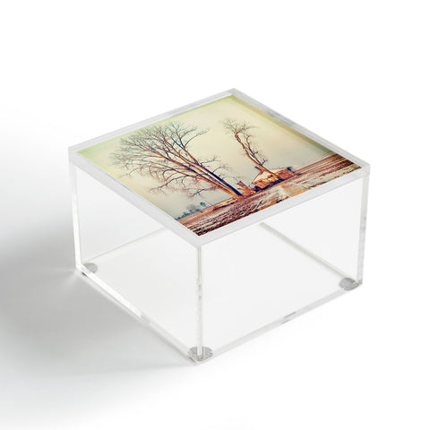 The Light Fantastic Renewal Acrylic Box