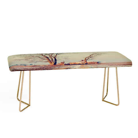 The Light Fantastic Renewal Bench