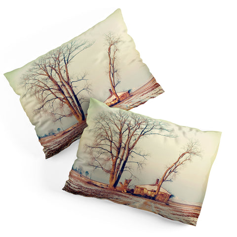 The Light Fantastic Renewal Pillow Shams