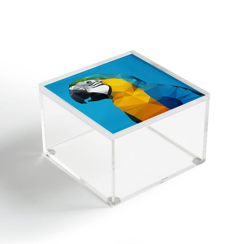 Three Of The Possessed Parrot Blue Acrylic Box