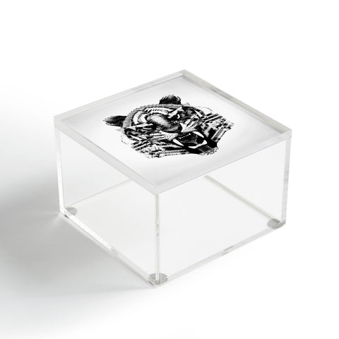 Three Of The Possessed Tiger 4040 Acrylic Box