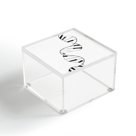 Tobe Fonseca DNA Piano Acrylic Box