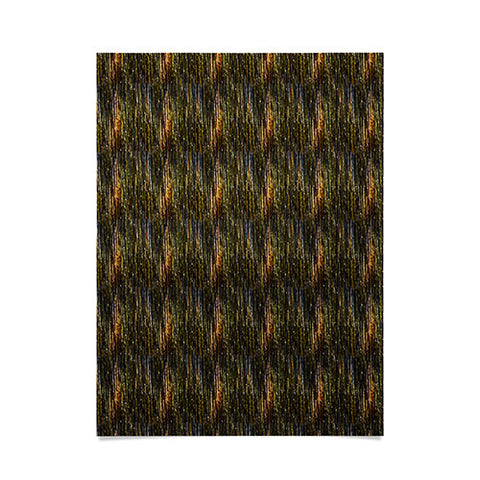 Triangle Footprint Cosmos2rpt Poster