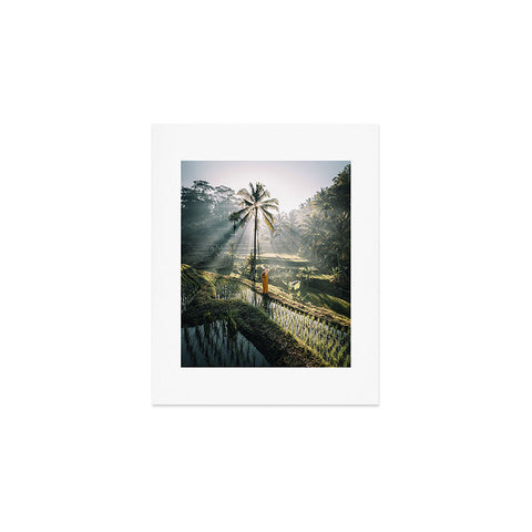 Tristan Zhou Rice Terrance Sunrise Art Print