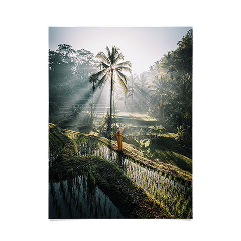 Tristan Zhou Rice Terrance Sunrise Poster