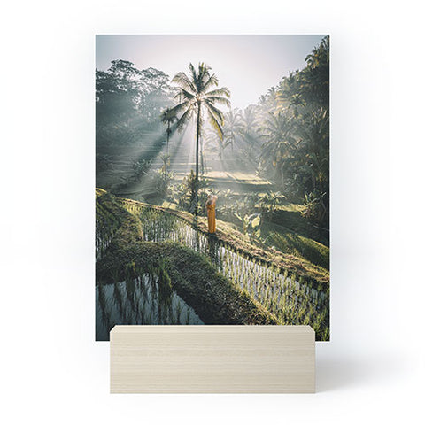 Tristan Zhou Rice Terrance Sunrise Mini Art Print