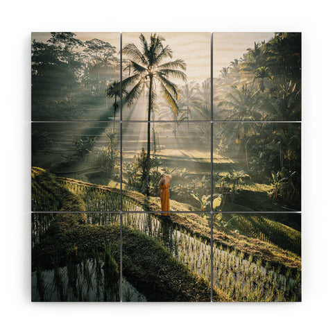 Tristan Zhou Rice Terrance Sunrise Wood Wall Mural