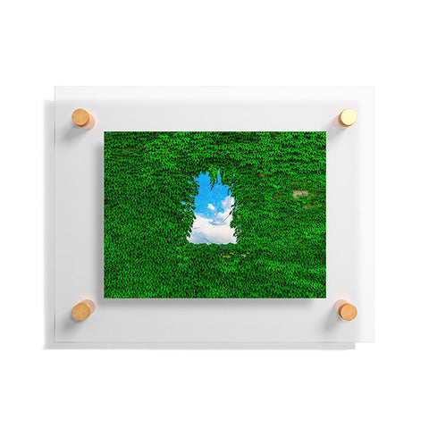 TristanVision Birds Window Floating Acrylic Print