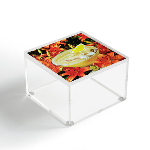 Tyler Varsell Daiquiri I Acrylic Box