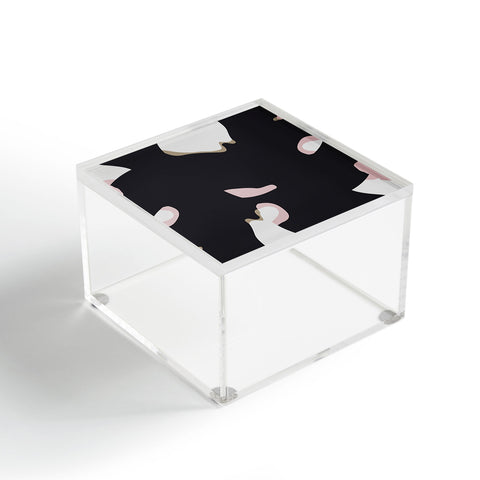 Urban Wild Studio piazza Acrylic Box
