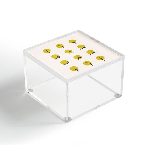 Urban Wild Studio sun salutation I Acrylic Box