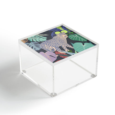 Uzualsunday Hello Leopard Acrylic Box
