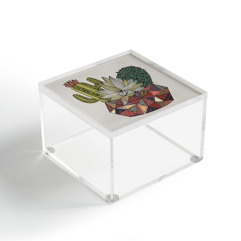 Valentina Ramos Little Cactus Acrylic Box