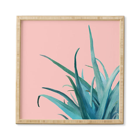 Viviana Gonzalez Aloe Vera 01 Framed Wall Art