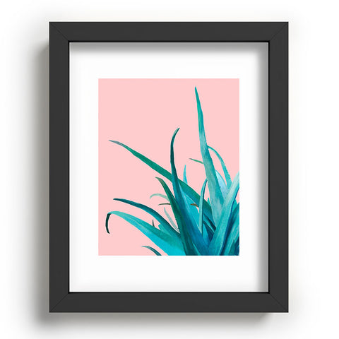 Viviana Gonzalez Aloe Vera 01 Recessed Framing Rectangle