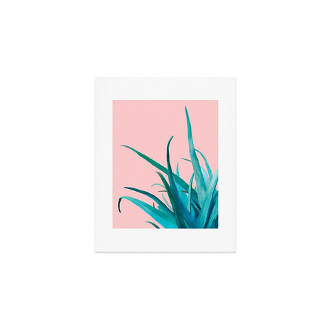 Viviana Gonzalez Aloe Vera 01 Art Print