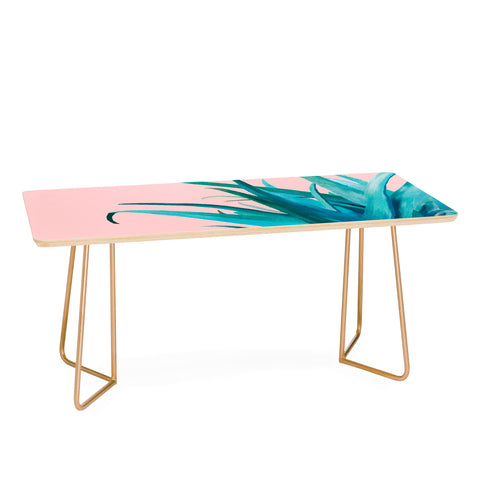 Viviana Gonzalez Aloe Vera 01 Coffee Table