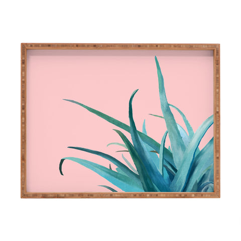 Viviana Gonzalez Aloe Vera 01 Rectangular Tray