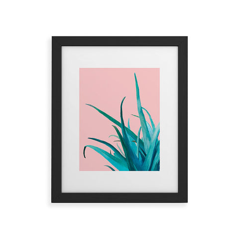 Viviana Gonzalez Aloe Vera 01 Framed Art Print