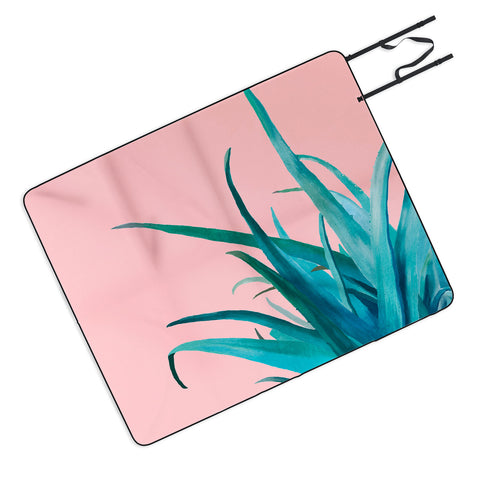 Viviana Gonzalez Aloe Vera 01 Picnic Blanket