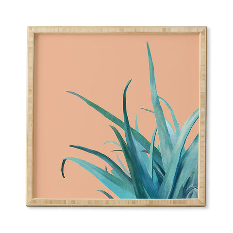 Viviana Gonzalez Aloe Vera 03 Framed Wall Art