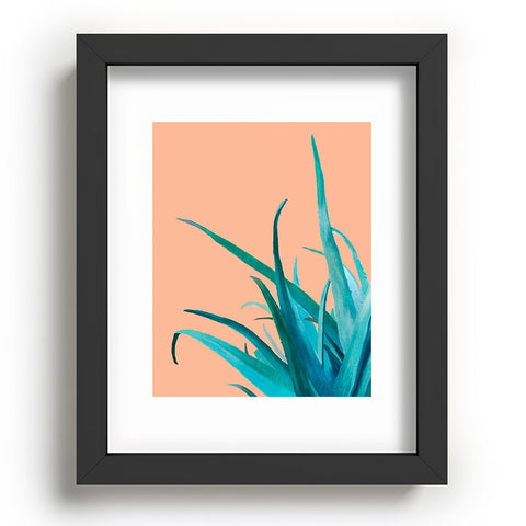 Viviana Gonzalez Aloe Vera 03 Recessed Framing Rectangle