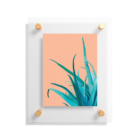 Viviana Gonzalez Aloe Vera 03 Floating Acrylic Print