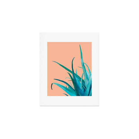 Viviana Gonzalez Aloe Vera 03 Art Print