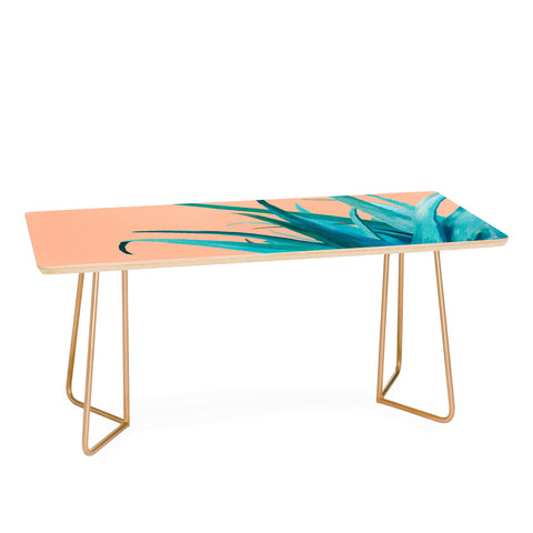 Viviana Gonzalez Aloe Vera 03 Coffee Table