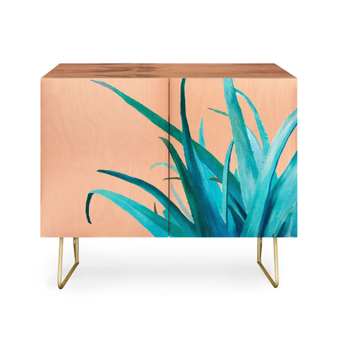 Viviana Gonzalez Aloe Vera 03 Credenza