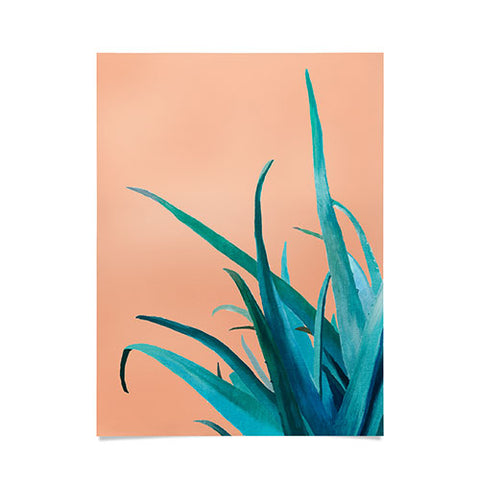 Viviana Gonzalez Aloe Vera 03 Poster