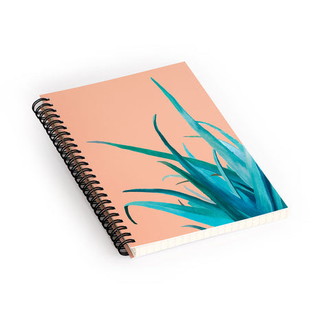 Viviana Gonzalez Aloe Vera 03 Spiral Notebook