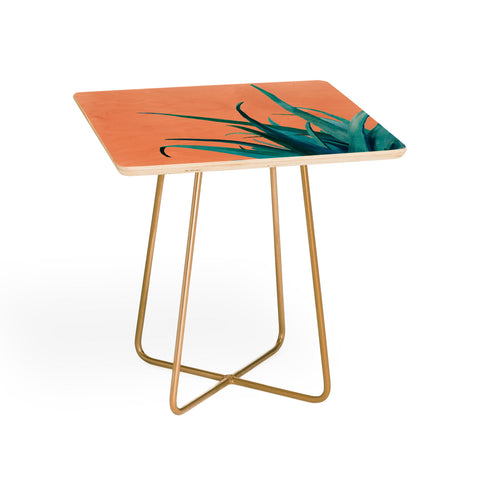Viviana Gonzalez Aloe Vera 03 Side Table