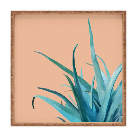 Viviana Gonzalez Aloe Vera 03 Square Tray