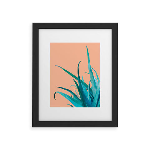 Viviana Gonzalez Aloe Vera 03 Framed Art Print