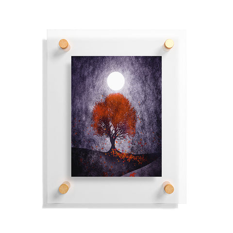 Viviana Gonzalez Beautiful season Floating Acrylic Print