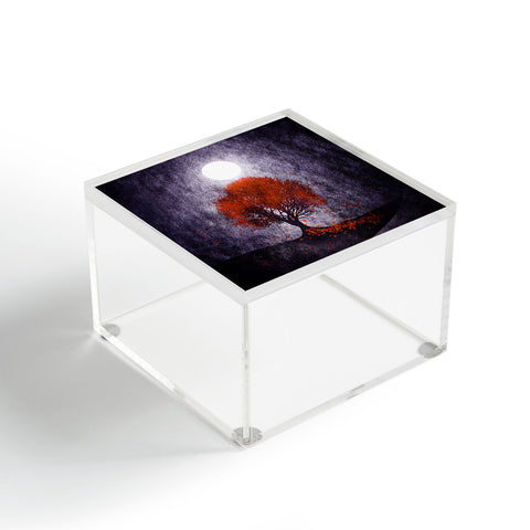 Viviana Gonzalez Beautiful season Acrylic Box
