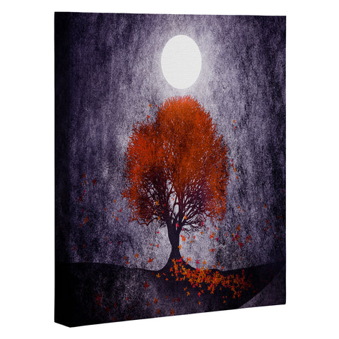 Viviana Gonzalez Beautiful season Art Canvas