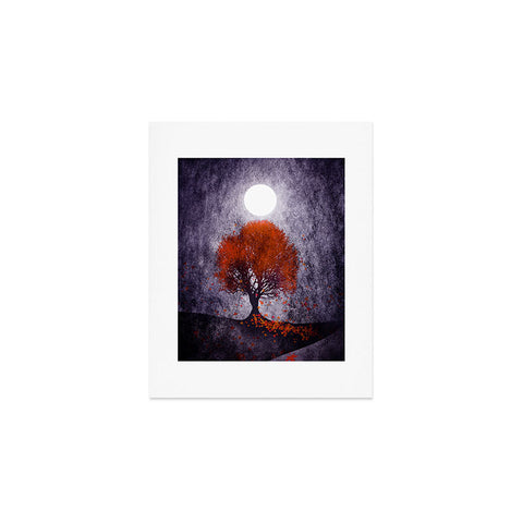 Viviana Gonzalez Beautiful season Art Print