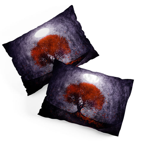 Viviana Gonzalez Beautiful season Pillow Shams