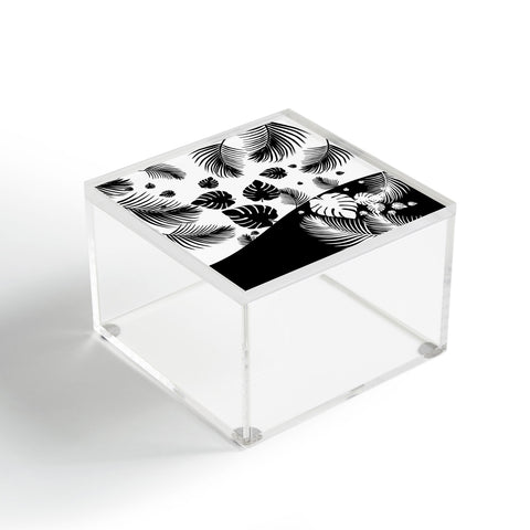 Viviana Gonzalez Black and white collection 05 Acrylic Box