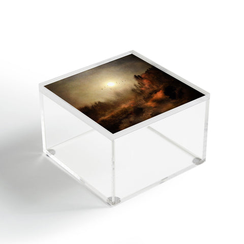 Viviana Gonzalez Calling the sun I Acrylic Box