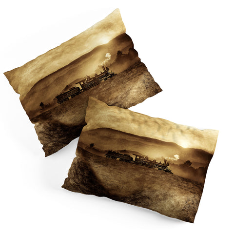 Viviana Gonzalez Chapter II Pillow Shams