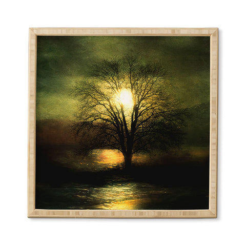 Viviana Gonzalez Energy From The Sun Framed Wall Art